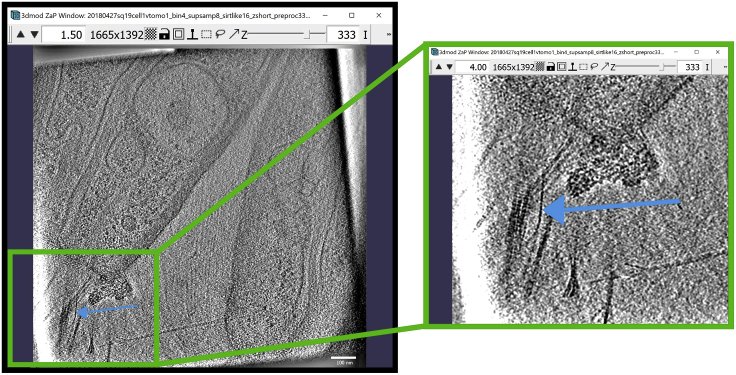 Figure 24