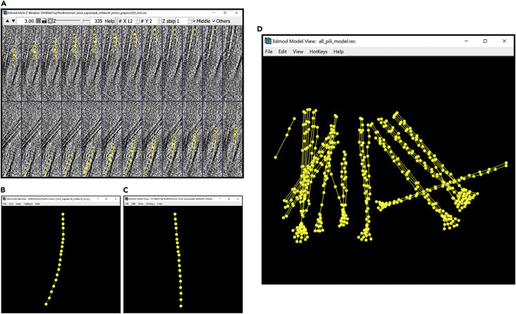 Figure 29