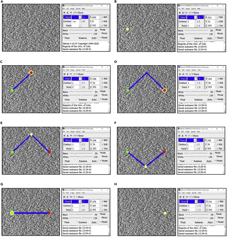 Figure 2