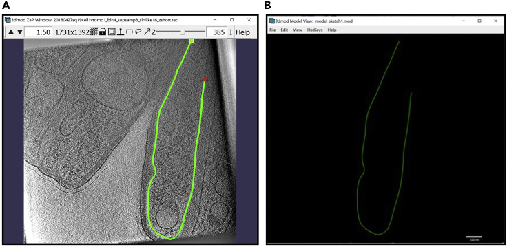 Figure 6