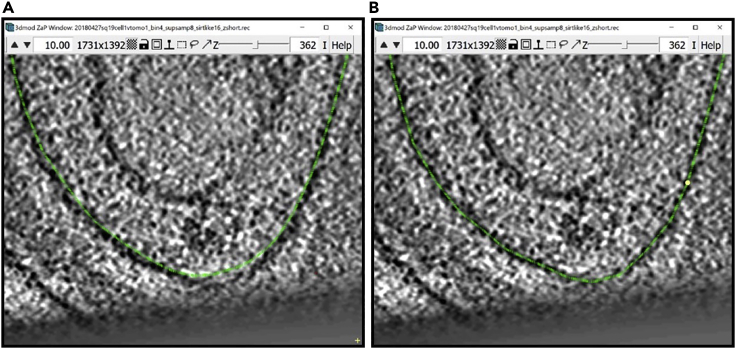 Figure 12