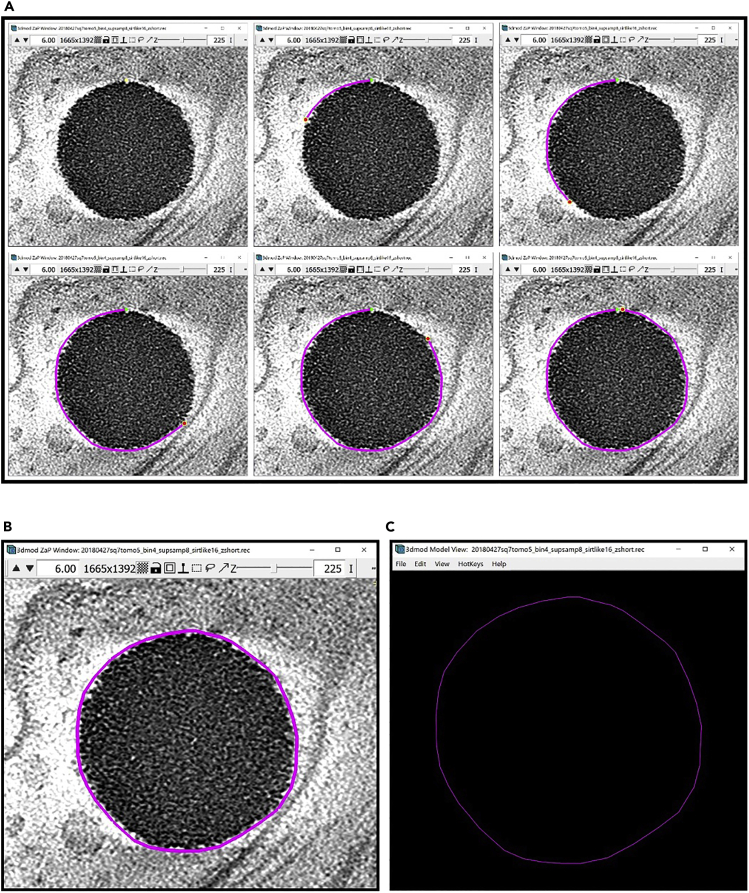 Figure 20