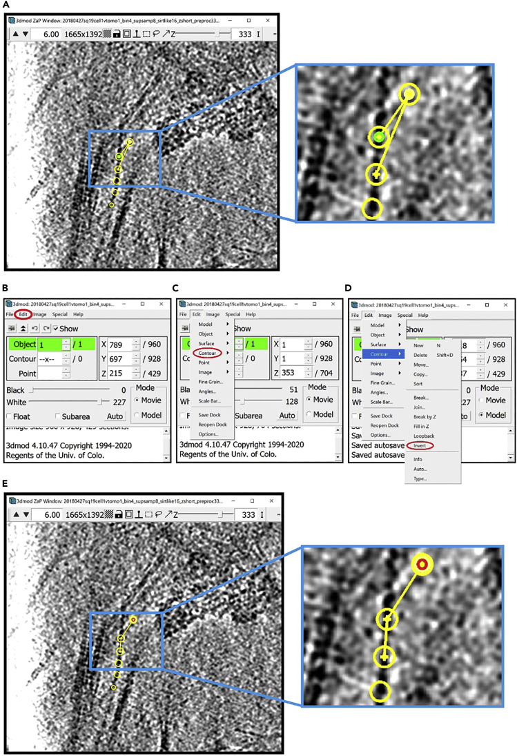 Figure 28