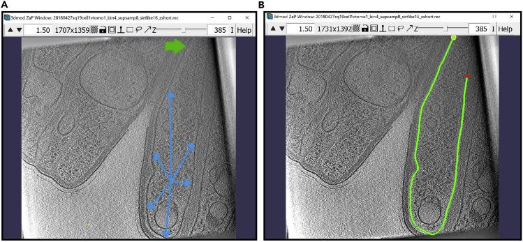 Figure 4