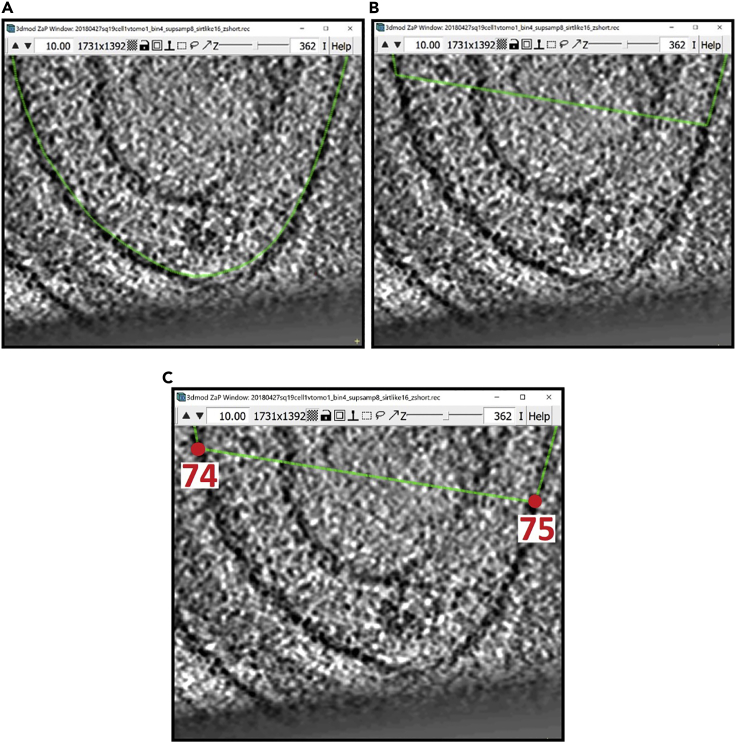 Figure 11