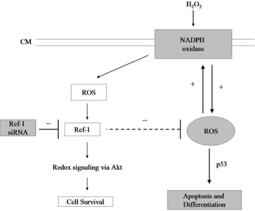 FIG. 7.