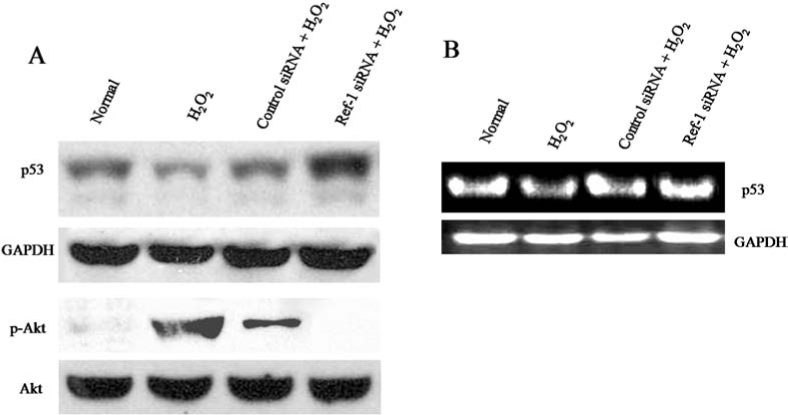 FIG. 5.