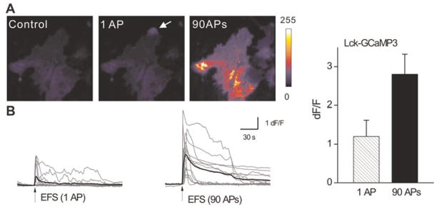 Fig. 3