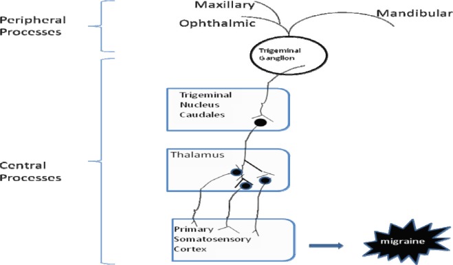 Fig. 1: