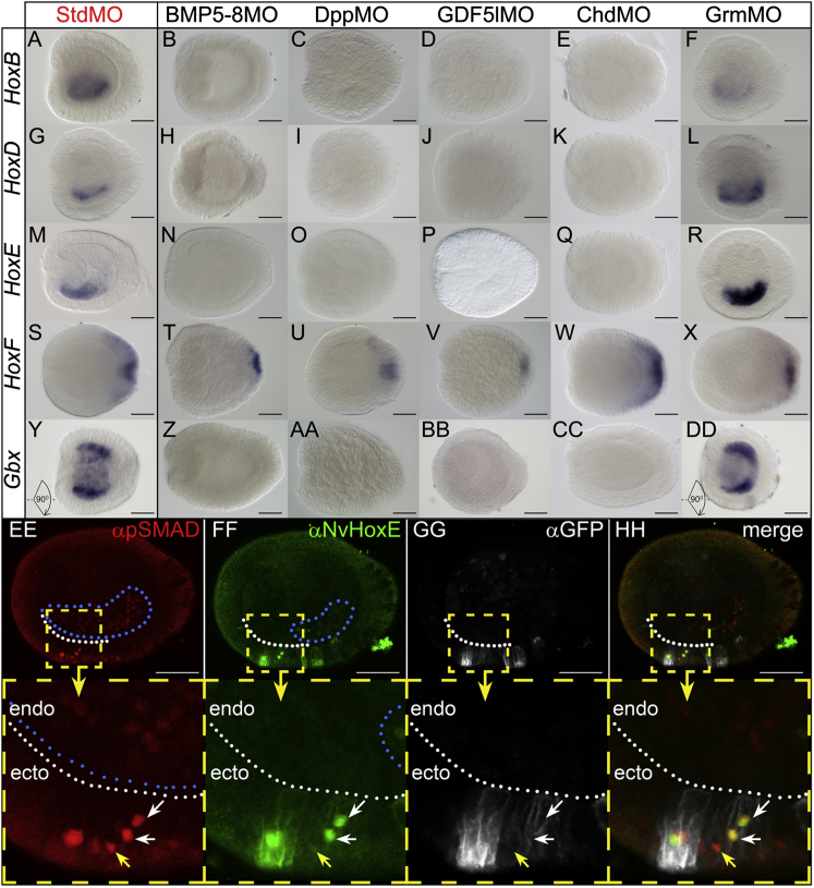 Figure 3