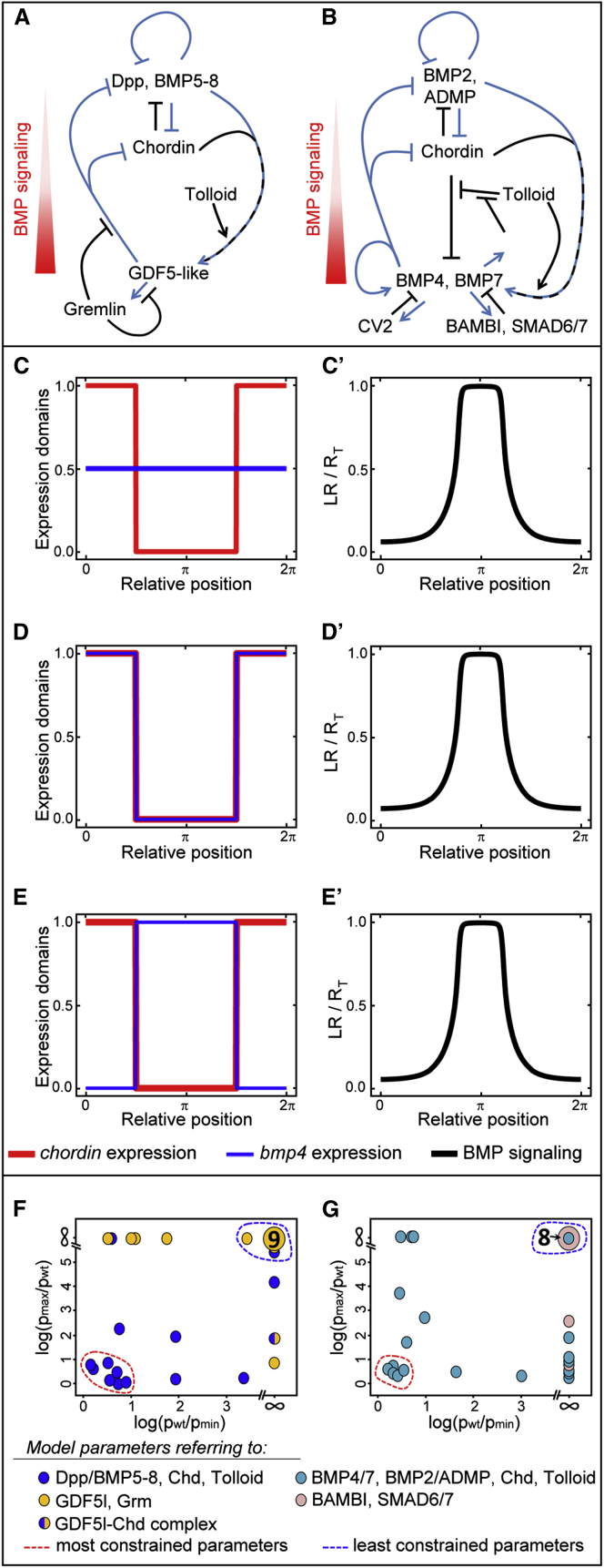 Figure 5