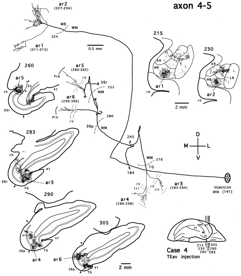 Fig. 13.