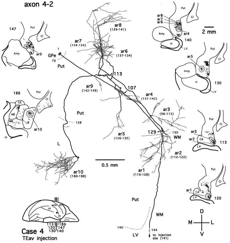 Fig. 7.