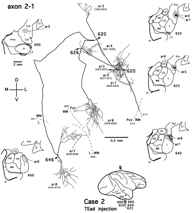 Fig. 11.