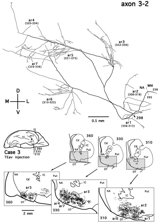 Fig. 18.