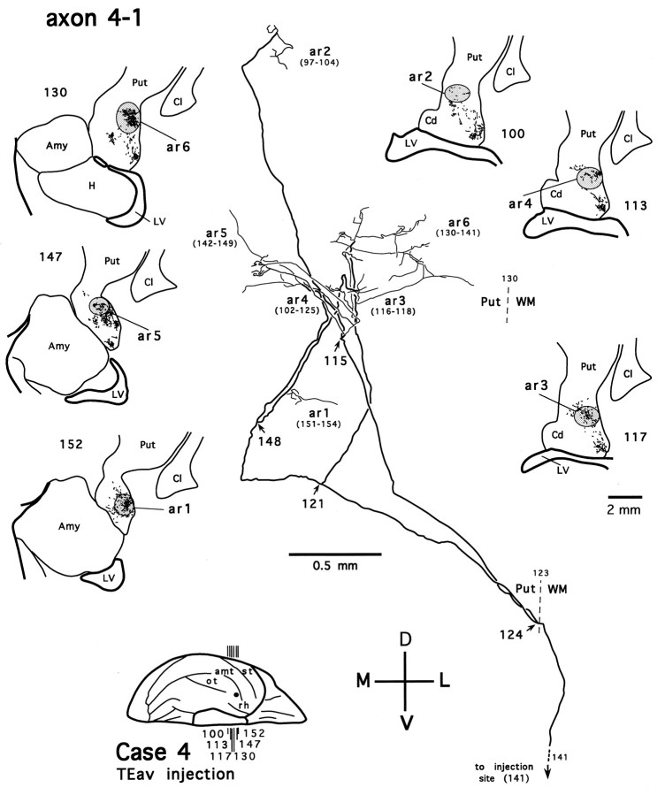 Fig. 15.