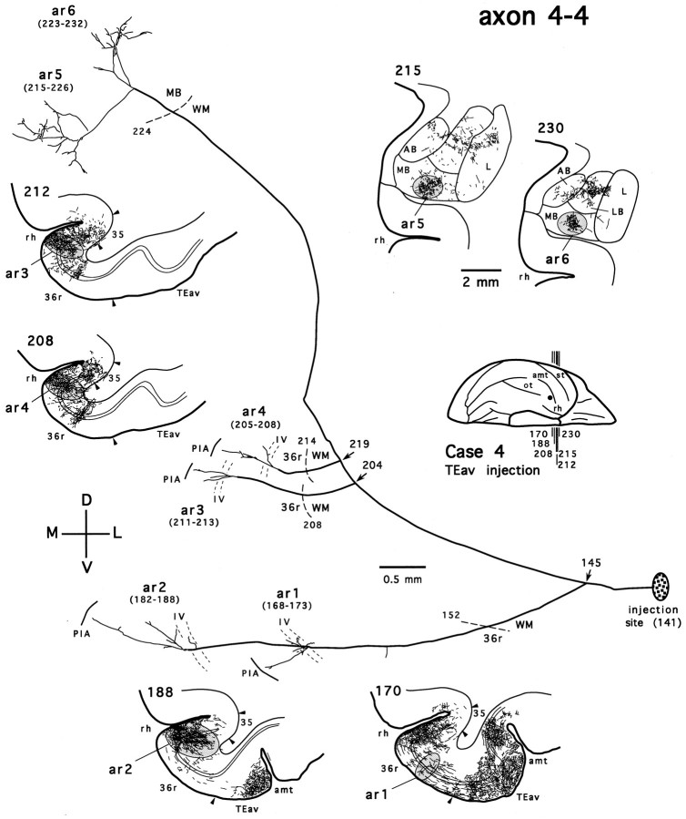 Fig. 12.