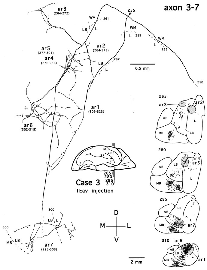 Fig. 16.