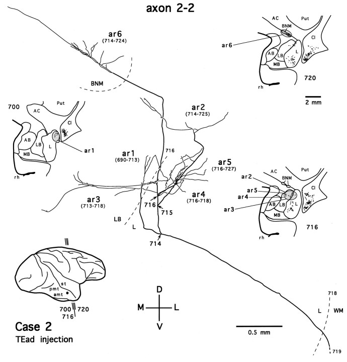 Fig. 17.