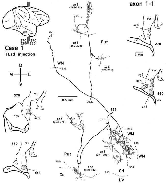 Fig. 14.