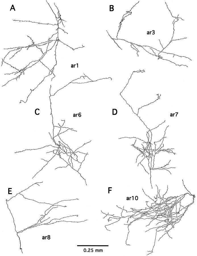 Fig. 9.