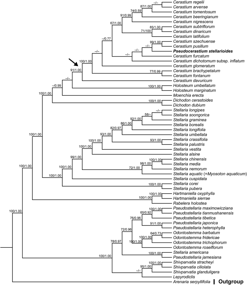 Fig. 3