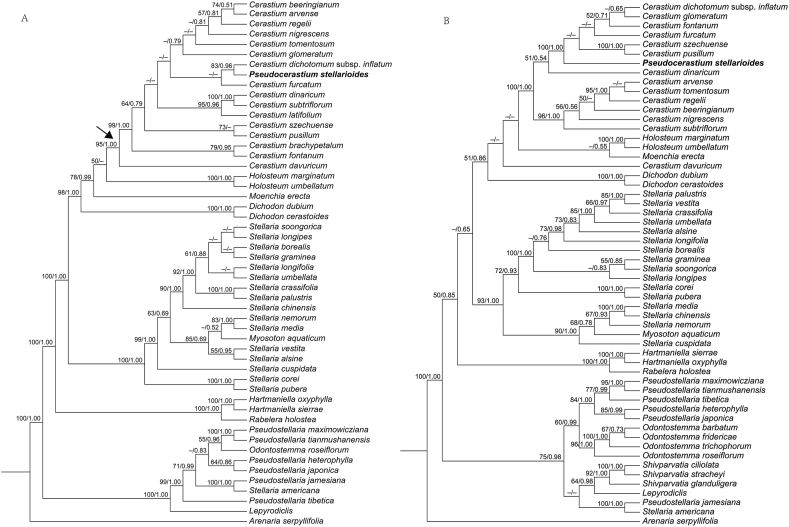 Fig. 2