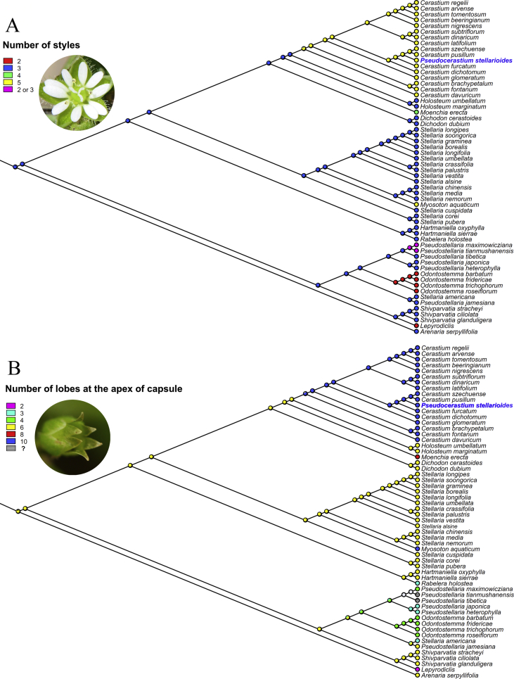 Fig. 4