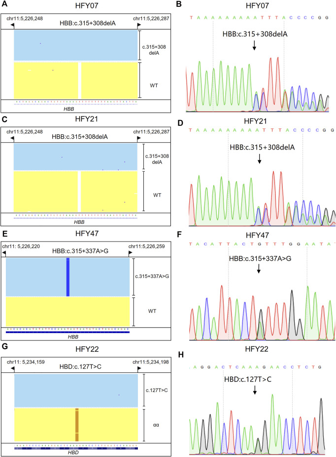 FIGURE 4