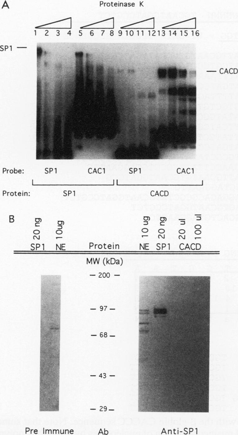 graphic file with name molcellb00013-0077-a.jpg