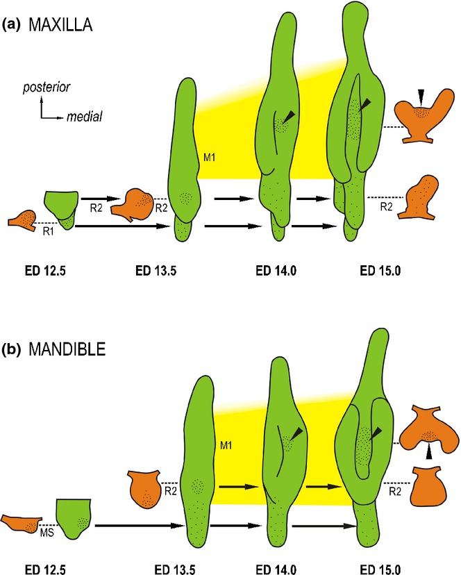 Figure 13