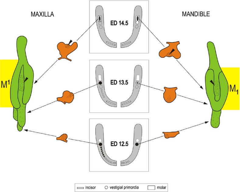 Figure 14