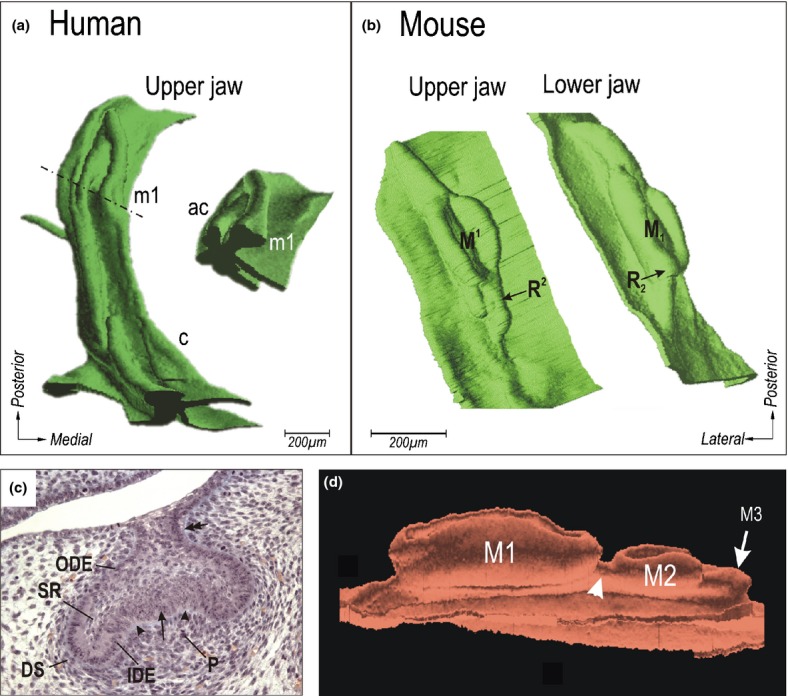 Figure 16