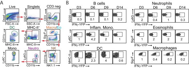 FIG 6