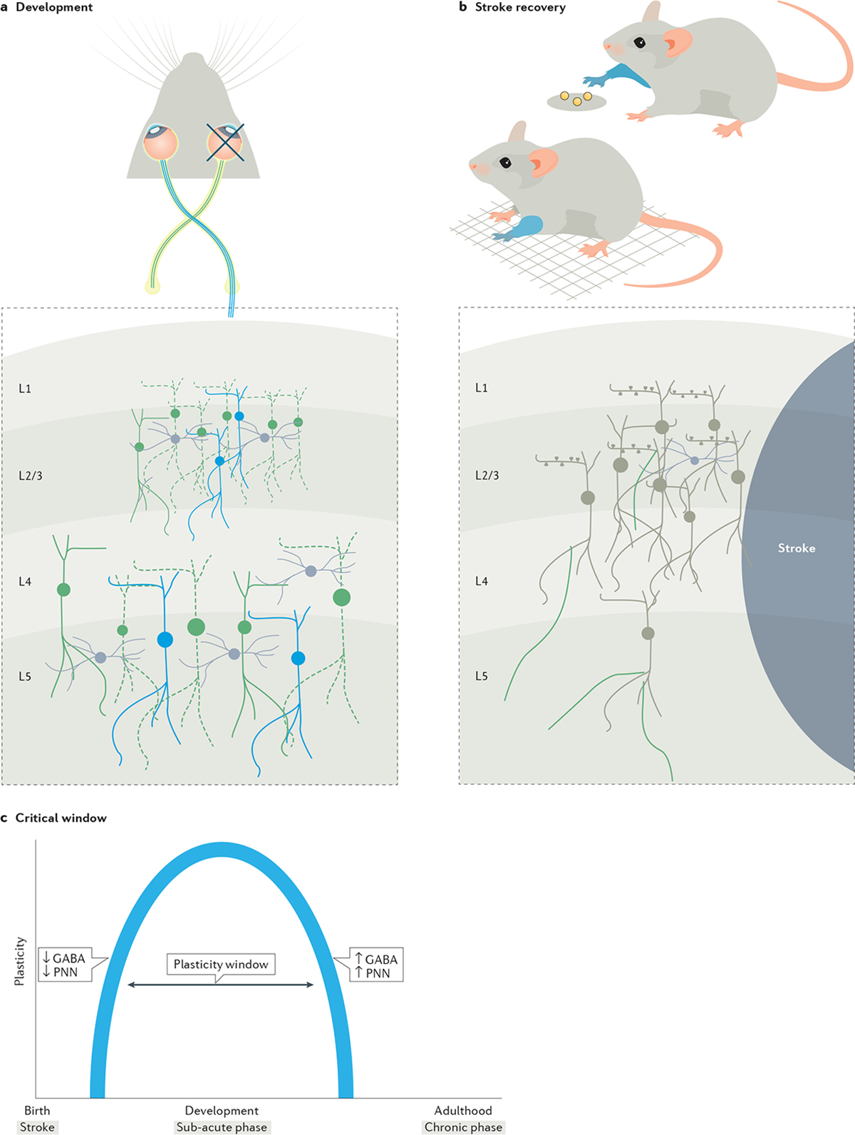 Fig. 2 |