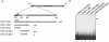 FIG. 6.