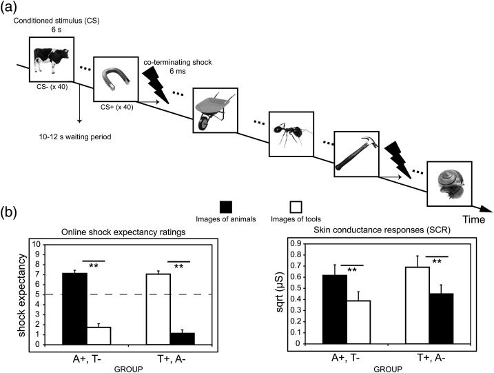 Figure 1.