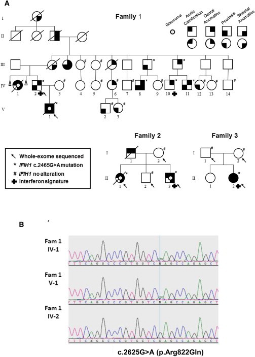 Figure 2