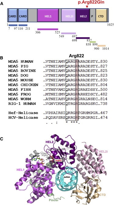 Figure 4