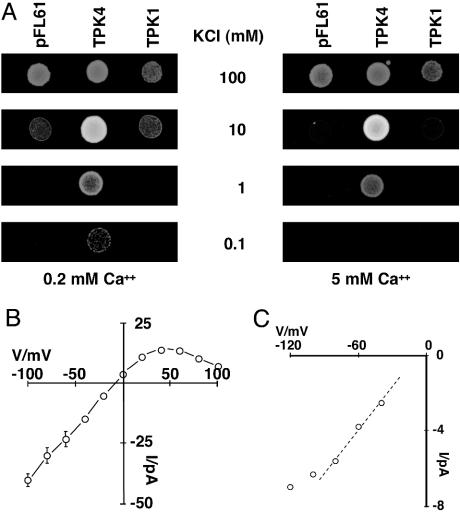 Fig. 4.