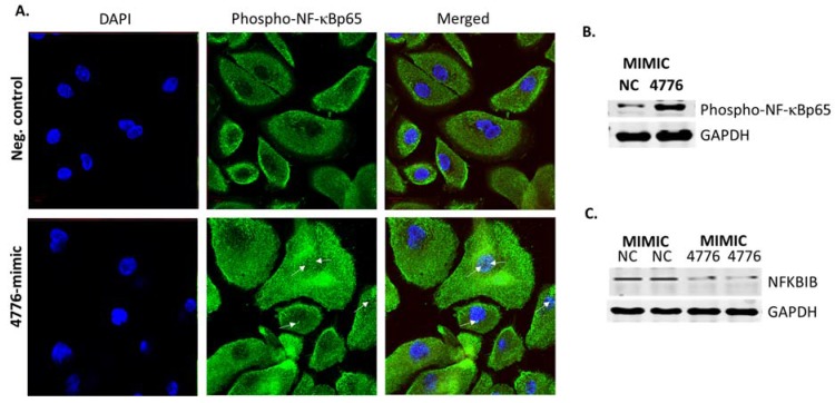 Figure 6