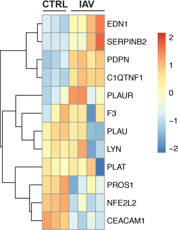 Figure 6: