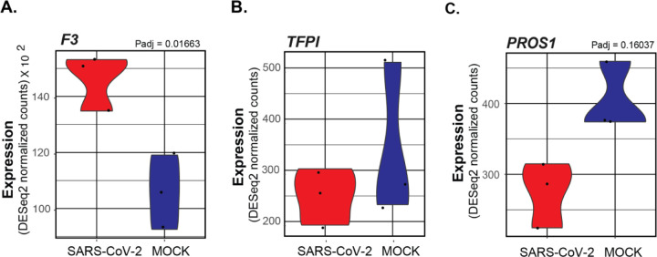 Figure 2: