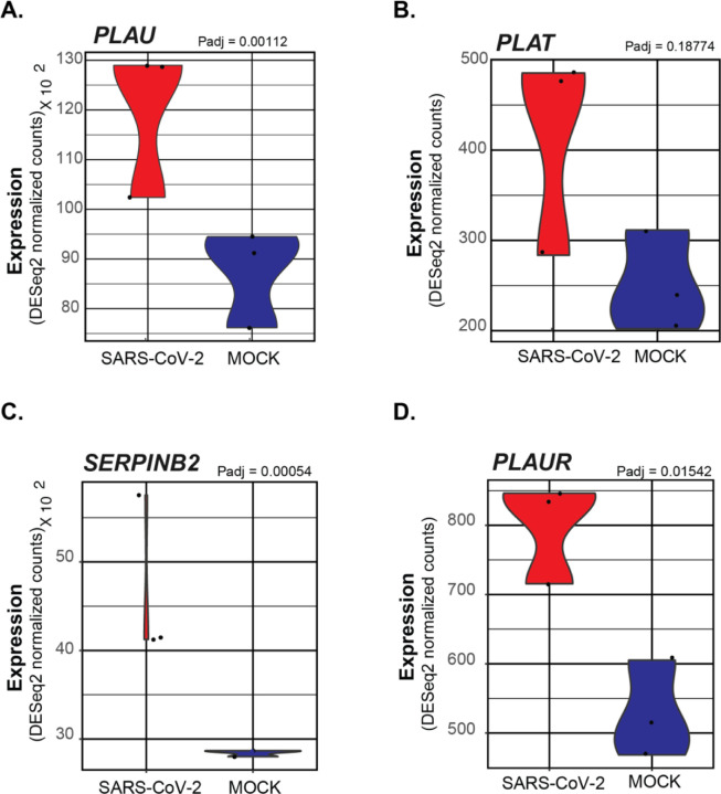 Figure 3: