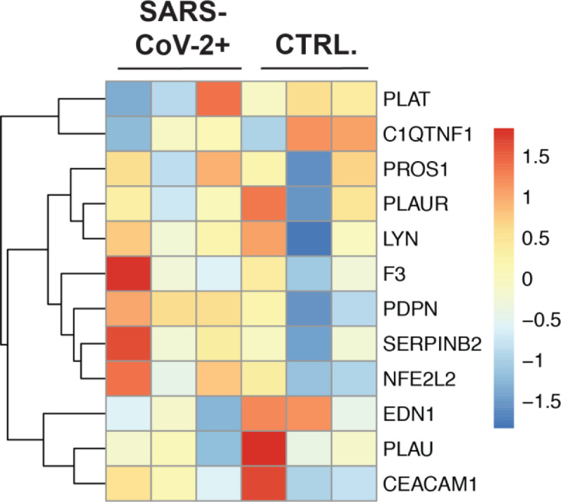 Figure 5: