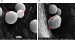 Fig. 9