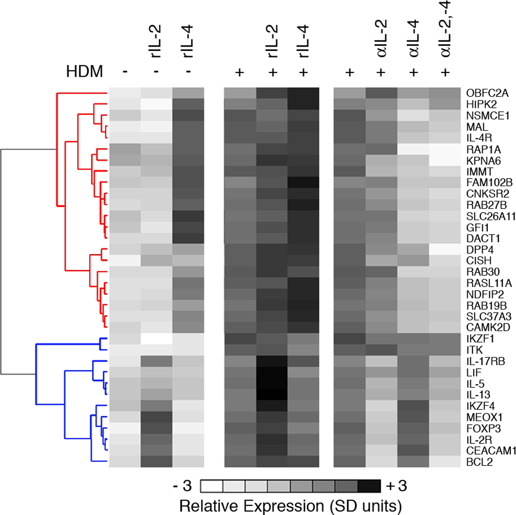 Figure 4: