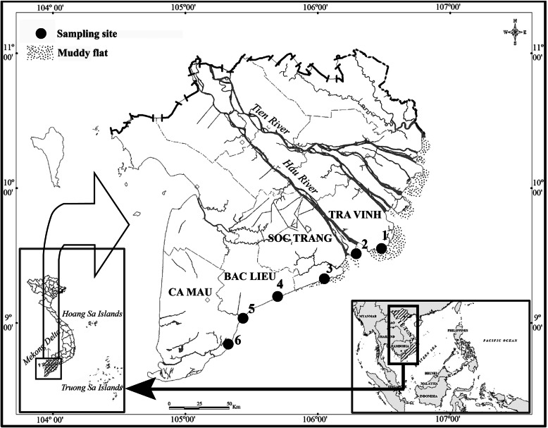 First Reference On Reproductive Biology Of Butis Koilomatodon In Mekong 