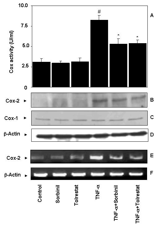 Fig.2