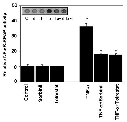 Fig.3